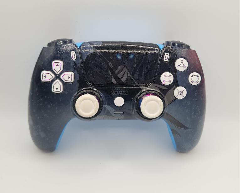 Solo Leveling Sun Jinwoo Hydrodipped PS5 Controller.